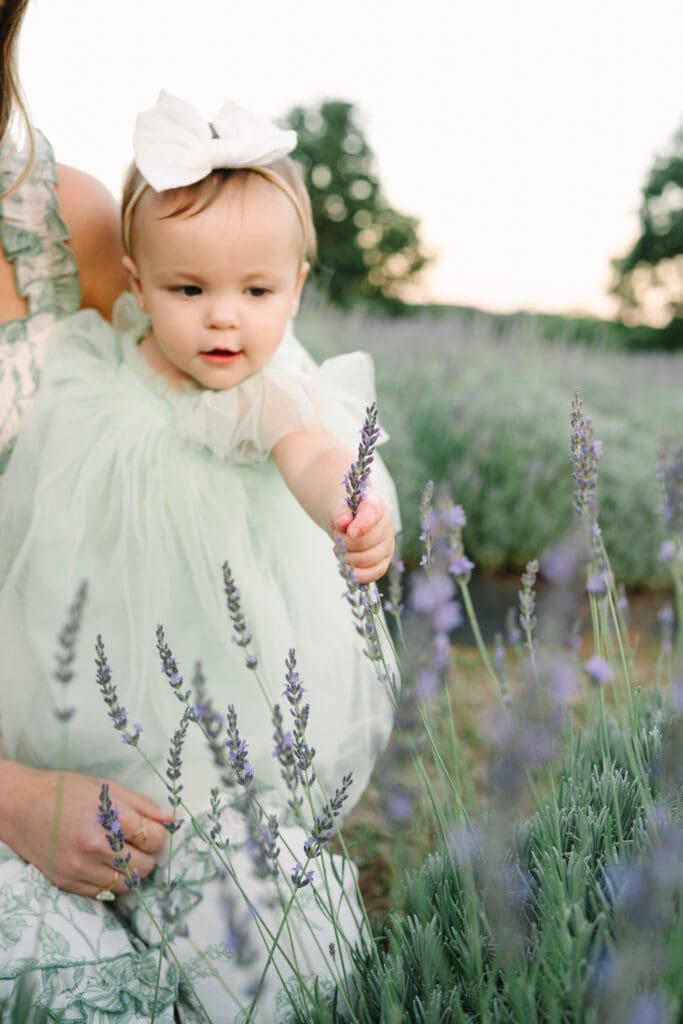 One of the best places to take pictures in OKC with lavender at Narrow Gate Farm