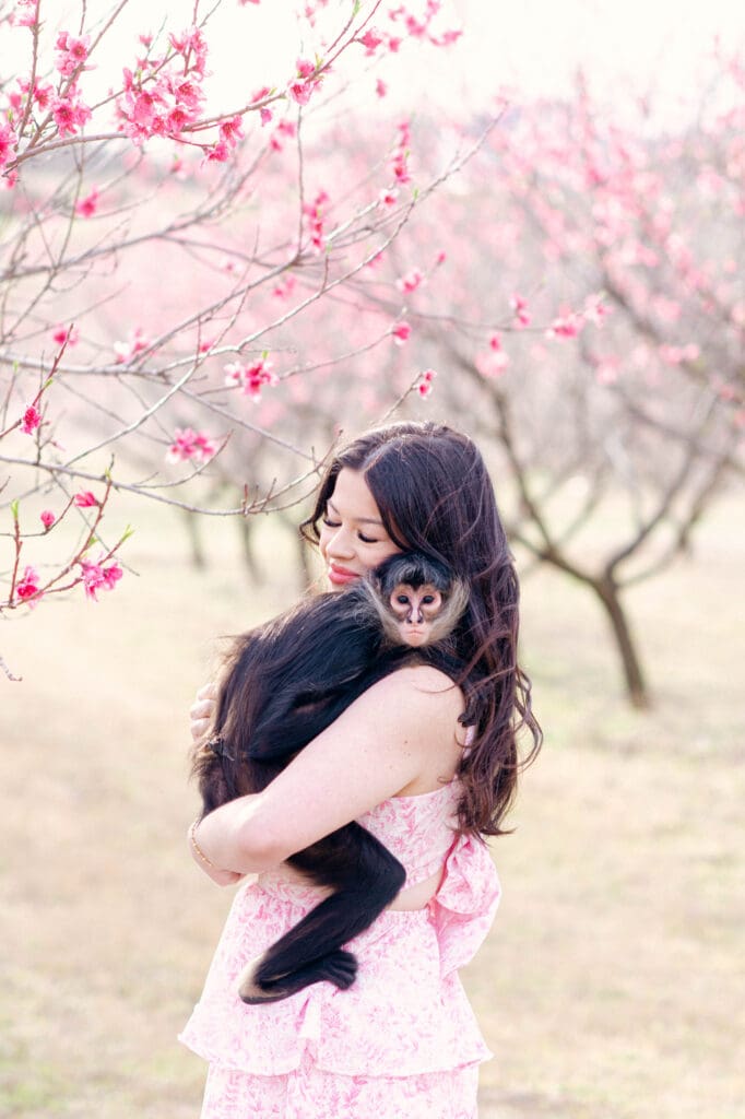 One of the best places to take pictures near OKC during peach blossom season at Wind Drift Orchard